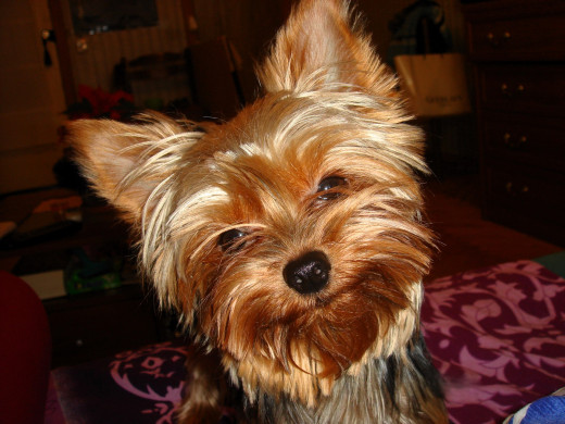 1753984 (a): :1920x1440